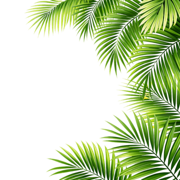 feuille fond formulaire